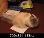 Free Image Hosting at www.ImageShack.us